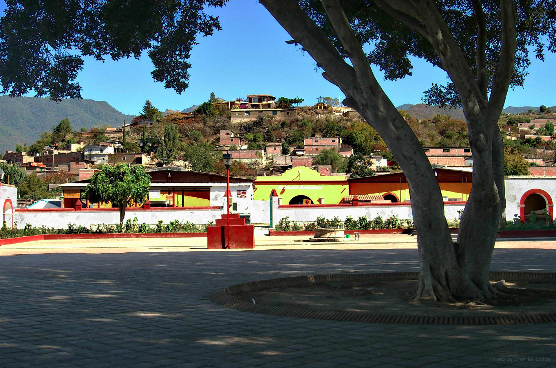 A long view of the village of Teotitlán del Valle, looking up a hill populated with houses from the vantage point of a shade tree in a large courtyard.